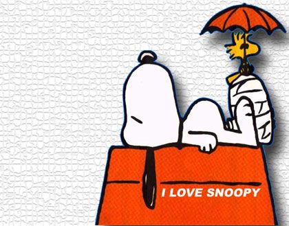 ȫ��10�����ܚgӭ�Ŀ�ͨ����