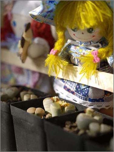 �T��Сʯ�������o�޾��ʼҾ�