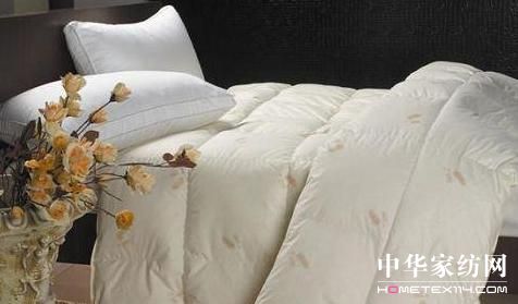 ���O�q�Ҽ���ů�������(g��)����