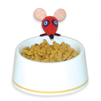 8��ɐ۟o����؈؈ʳ�胺