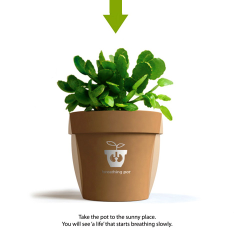 �����������Ļ��脓(chu��ng)��ɫ��