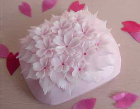 �ɐ�(��i)�����⣺���������������