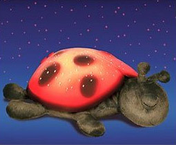 ����ɐ�(��i)�İl(f��)�������