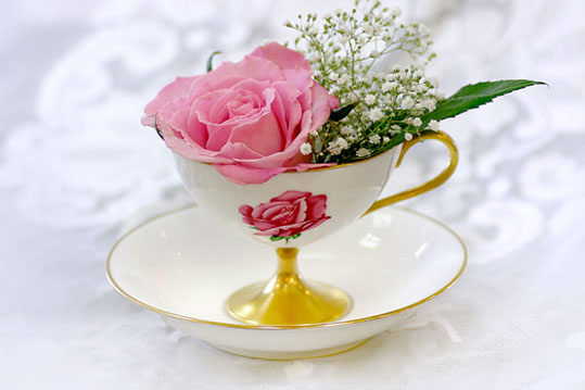 ��(x��)�ɲ;ߣ��������������