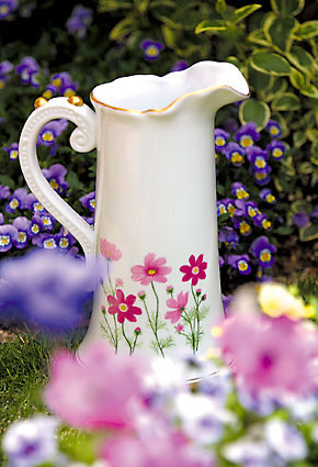 ��(x��)�ɲ;ߣ��������������