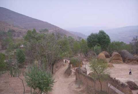 �o����̺�ӹ����F(xi��n)Ҏ(gu��)ģ�l(f��)չ