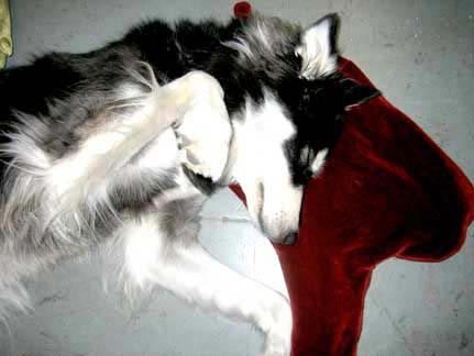 ��(chu��ng)���O(sh��)Ӌ(j��)��Ѫ���^��ɢѪ��