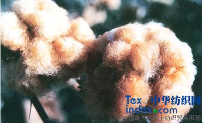 ����ů���޽q��Ʒ������ʽ����