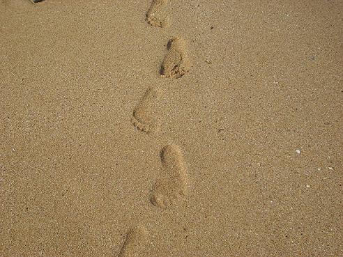 ʩ�����������΄�(chu��ng)�I(y��)�ɹ���