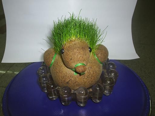 �r(sh��)�Є�(chu��ng)��ɐ�(��i)�h(hu��n)�����^����