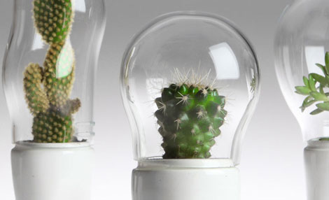 ����(j��)��Ц����ѝ�ӵ�����