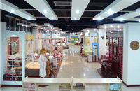 ���⌣�u��չʾ