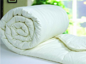 ȫ���J�R��ʽ�����ޱ�