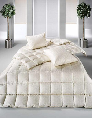 ȫ���J�R��ʽ�����ޱ�