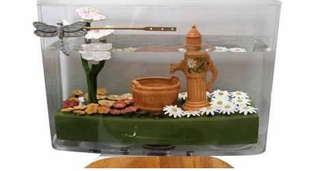 �ձ�͸���RͰ������