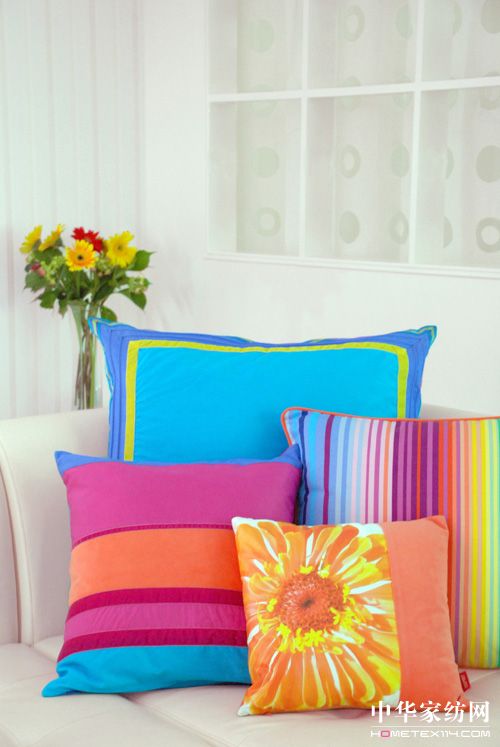 ESPRIThome2010��Ʒ�Ų�����