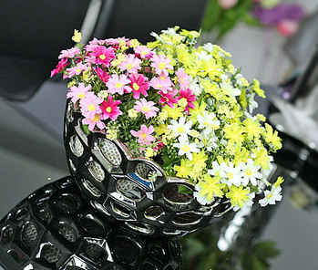 ���߽��ĵĄ�(chu��ng)��䳲��ʳ�P