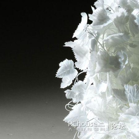 ���׵Ę��~�����Є�(chu��ng)�⵫�ܹª�