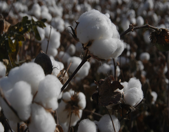 ���K�������ޡ����a(ch��n)�C�c���