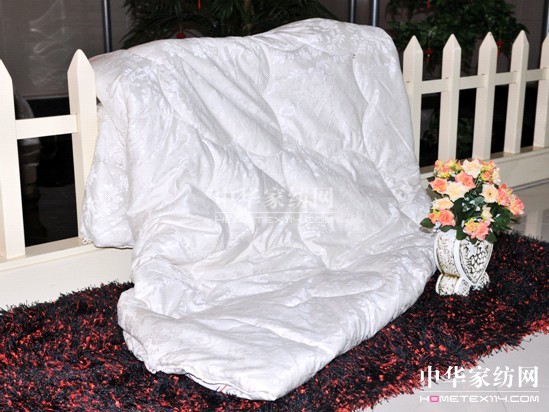 �{���Ҽ�2011�����ƏV��