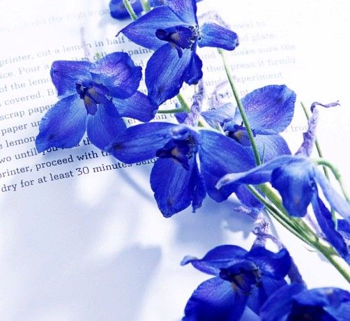 ���_�m�Ҽ��ж��� ���������