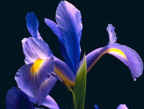 �L(f��ng)��2011 Ҋ(ji��n)�C���_�m�ĿƼ���(chu��ng)��