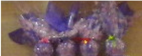 �D(zhu��n)Σ�C���̙C