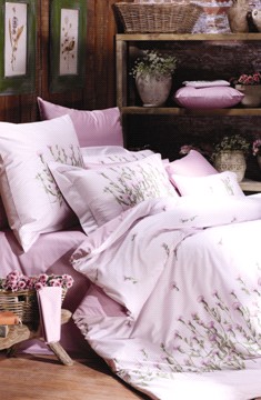 ARTILIVI(��[��)�_������(m��ng)֮��