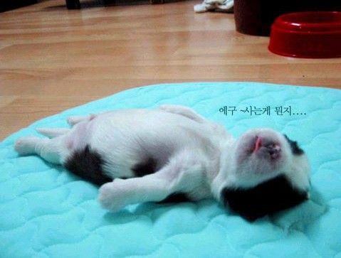 �H�������˯һС�r(sh��)����