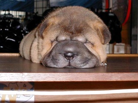 �H�������˯һС�r(sh��)����