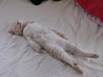 �H�������˯һС�r(sh��)����