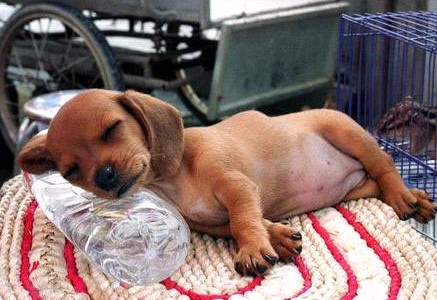 �H�������˯һС�r(sh��)����