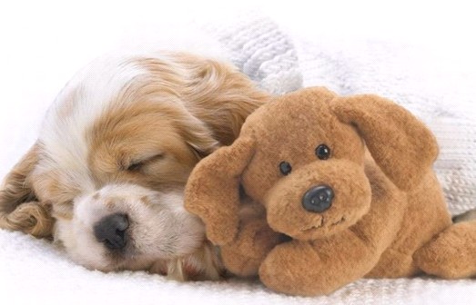 �H�������˯һС�r(sh��)����