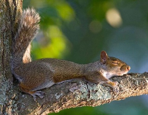 �H�������˯һС�r(sh��)����