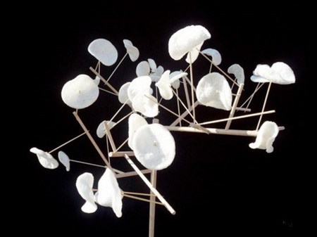 ����(sh��)���͵����wˮ���P