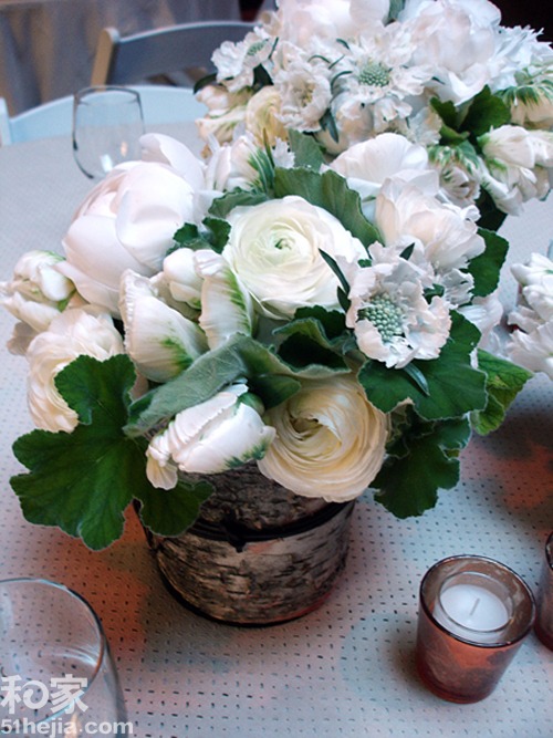 �ؚw��Ȼ��(sh��)ľ���͵��b���(��)