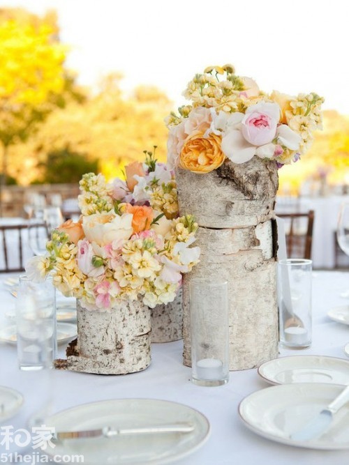 �ؚw��Ȼ��(sh��)ľ���͵��b���(��)