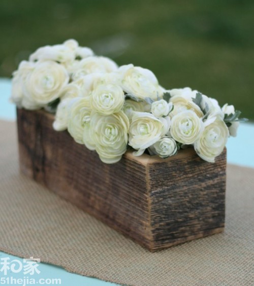 �ؚw��Ȼ ��ľ���͵��b���(��)