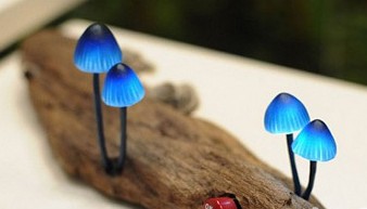 ��(chu��ng)��LED����(sh��)���ϵ�СĢ��