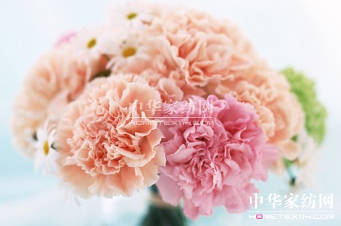 ĸ�H��(ji��)��׌�Ҽ����o������˯��