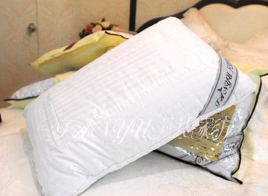 ���Z�Ҽ��������N�۵Č���(zh��n)���ɣ��ϣ�