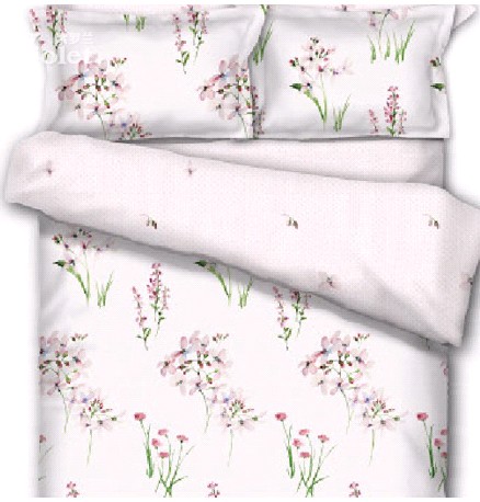 �����u���_�m�����������