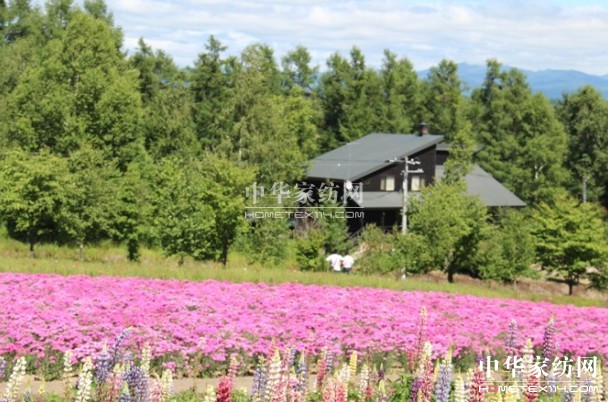 ����Ҽ���푡����ڲ��������ϱ����������������