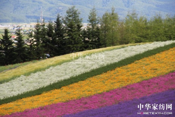 ����Ҽ���푡����ڲ��������ϱ����������������