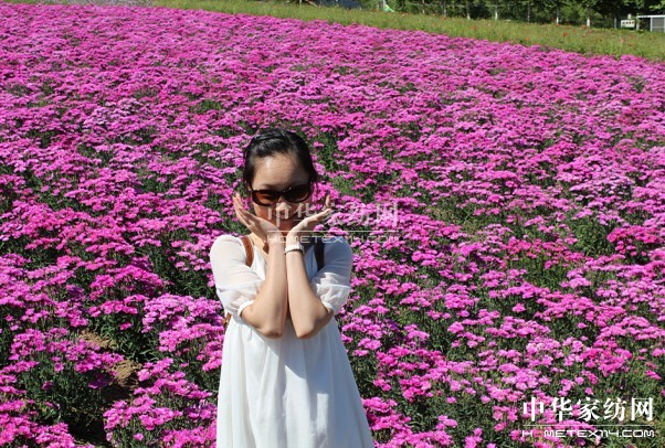 ����Ҽ���푡����ڲ��������ϱ����������������