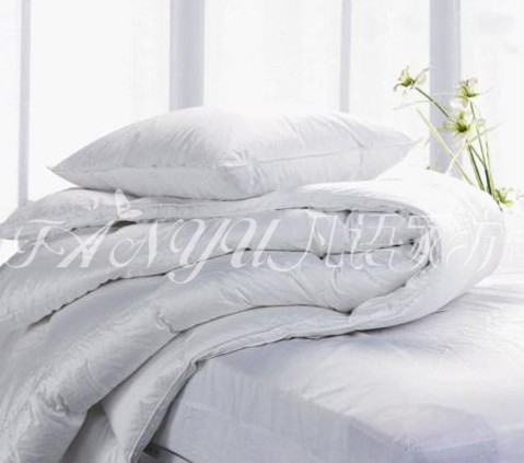 ���Z�Ҽ����x���m���Լ��ı���