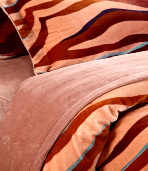 �S�ƼҼ�����֮����֮ů