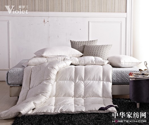 �����h�会(x��)��(sh��)���_�m���c(di��n)���^(gu��)��