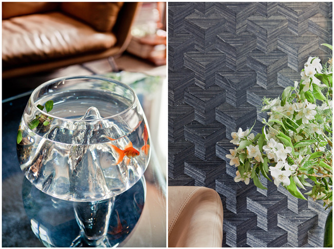 ���愓(chu��ng)����轨�����ĉ�(m��ng)���w��