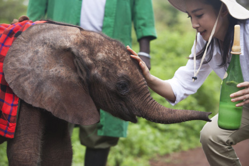 ���������"׃��"�����h�����J�B(y��ng)����